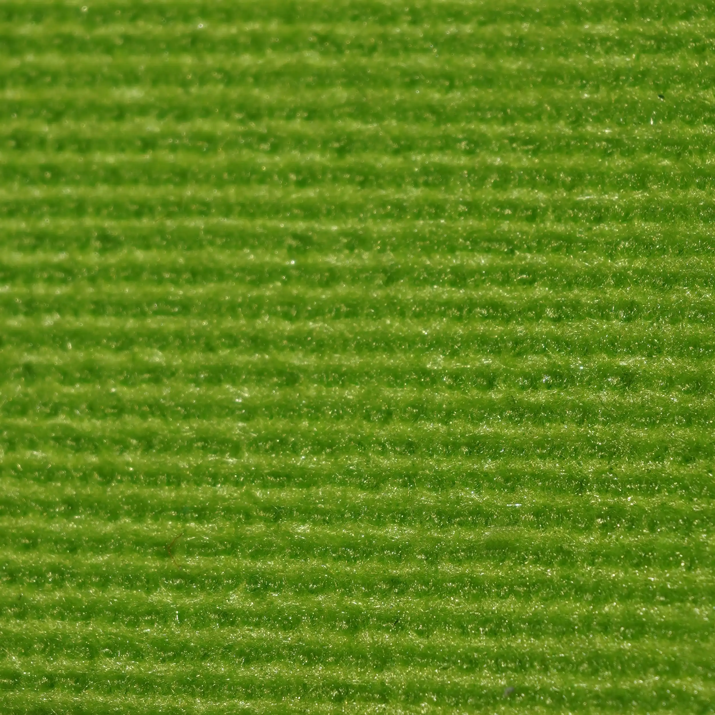 Açık Yeşil Rip & Fuar Halısı